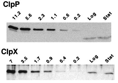 FIG. 8