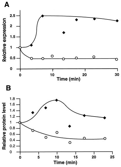 FIG. 6