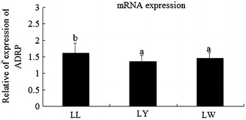 Fig. 2