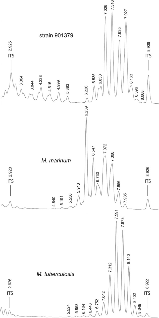 FIGURE 1