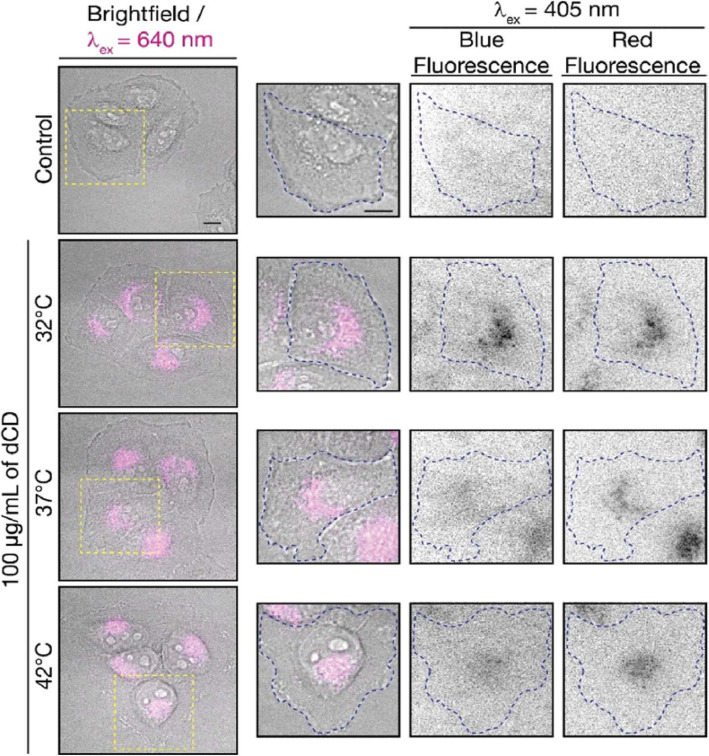 Fig. 19