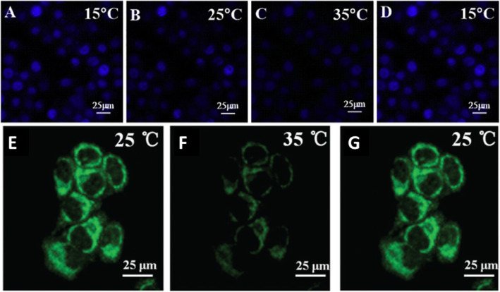 Fig. 20