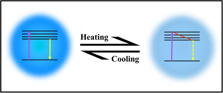 Fig. 10