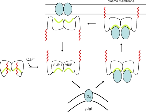 FIGURE 9.