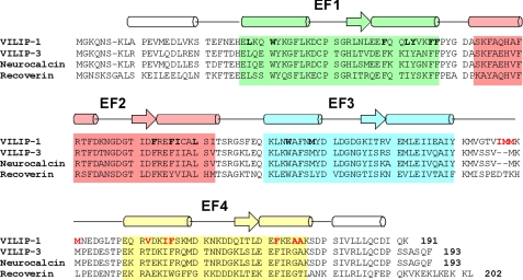 FIGURE 1.