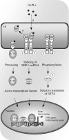 FIG. 9.