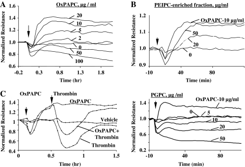 FIG. 13.