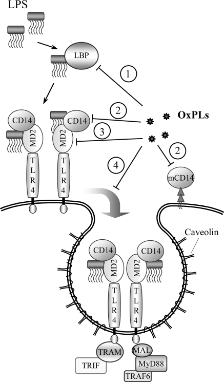 FIG. 12.