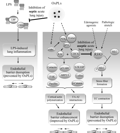 FIG. 15.