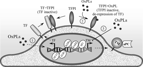 FIG. 10.