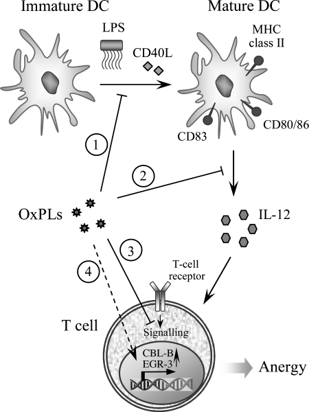 FIG. 16.