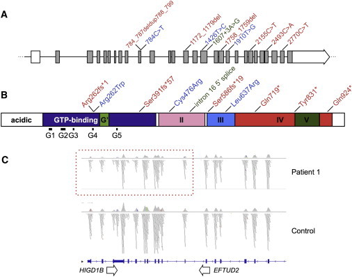 Figure 2