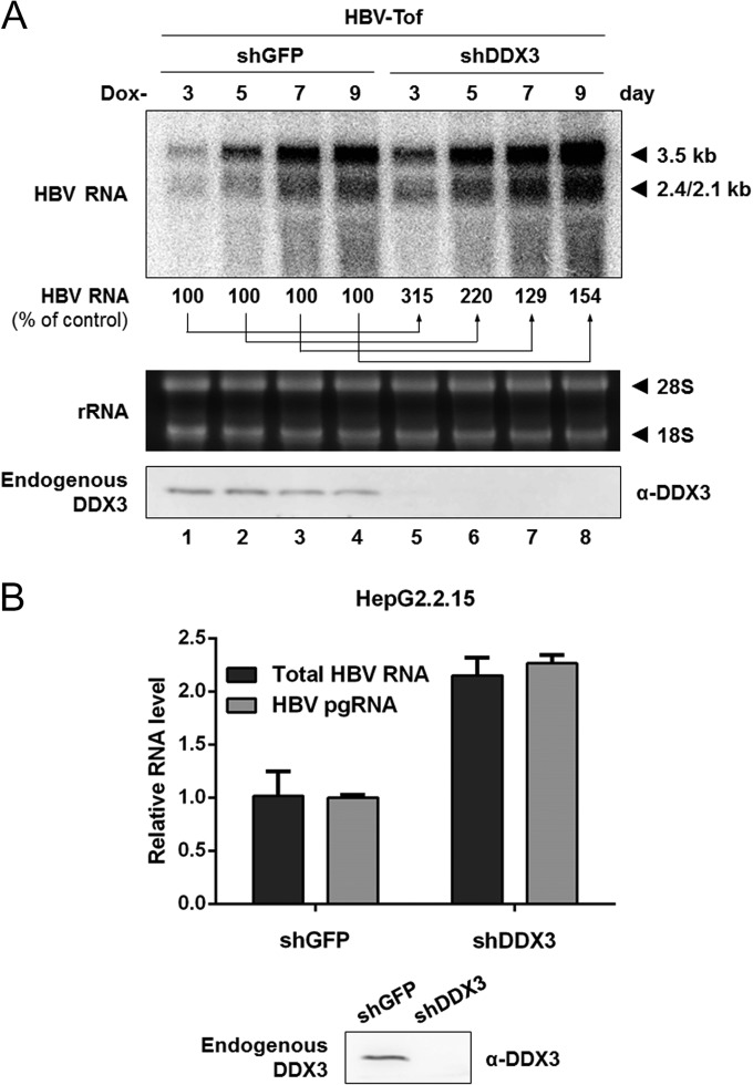 FIG 6