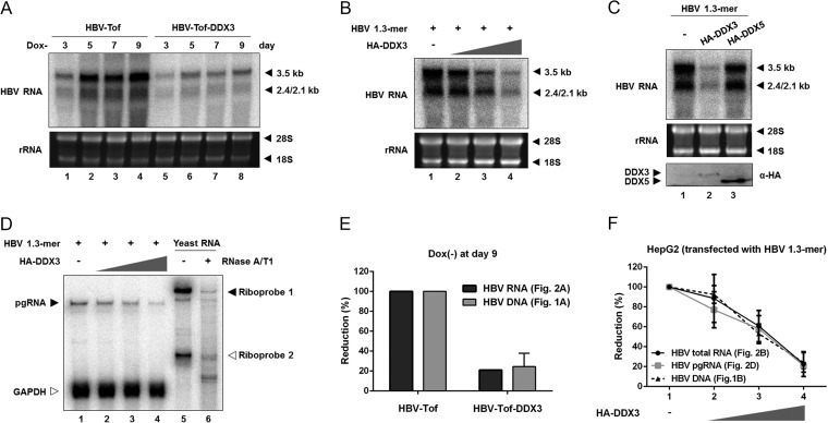 FIG 2