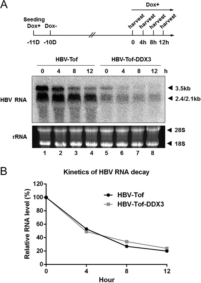 FIG 5