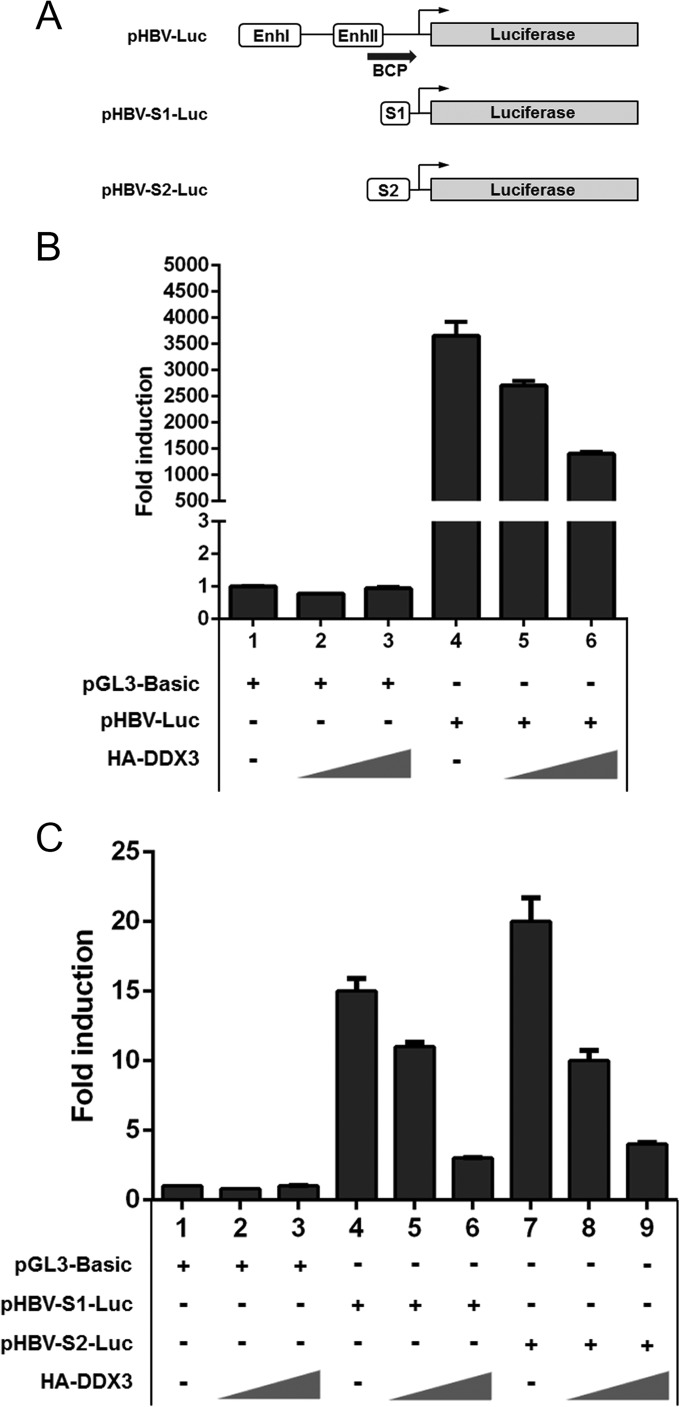 FIG 4