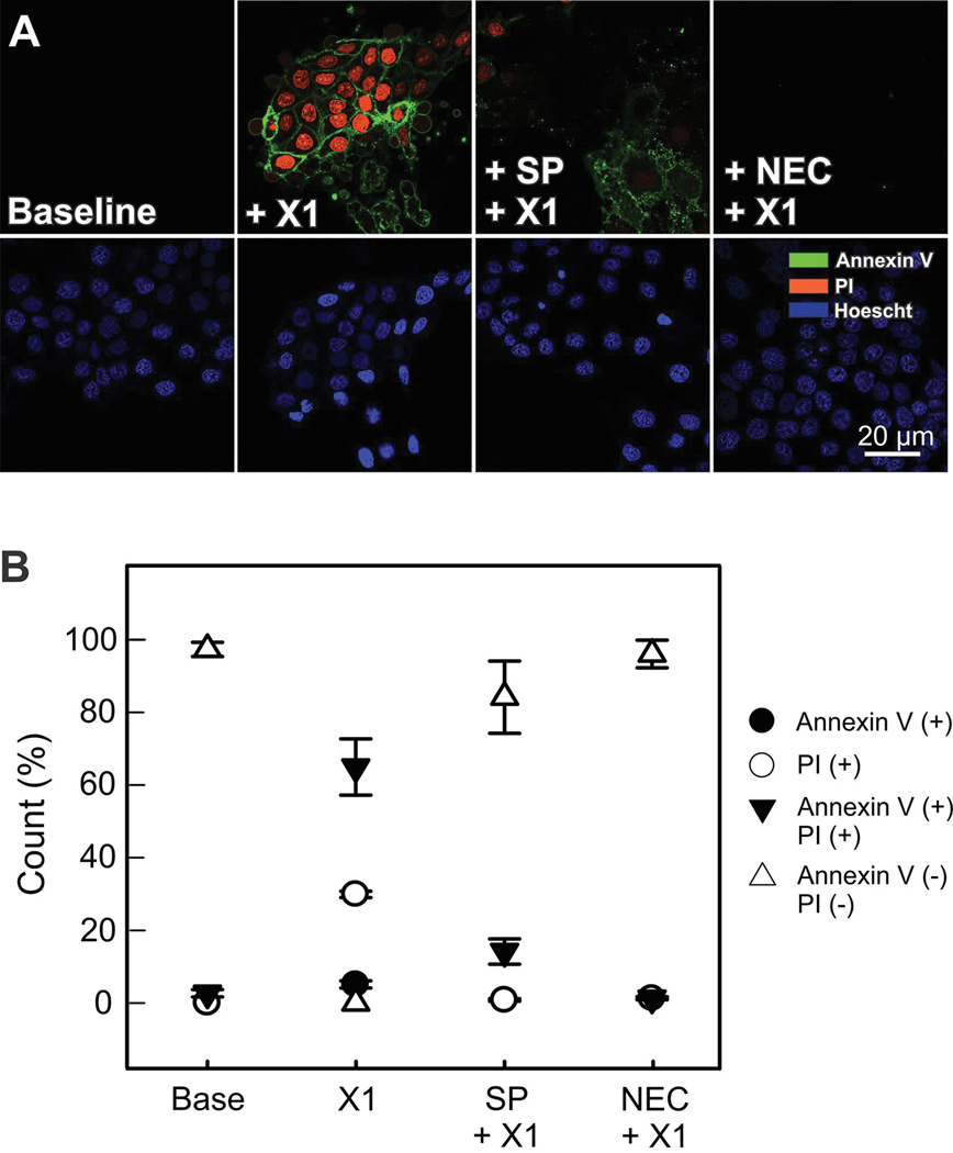 Figure 9: