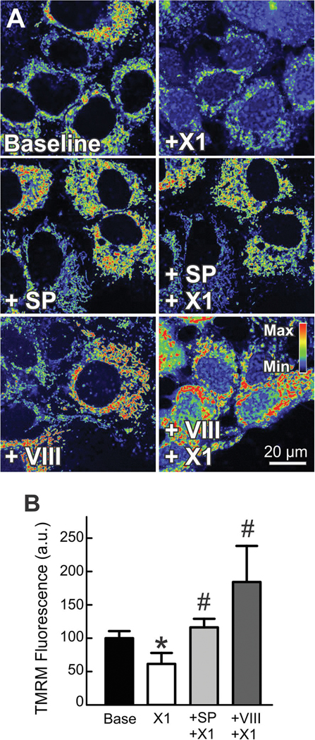 Figure 4: