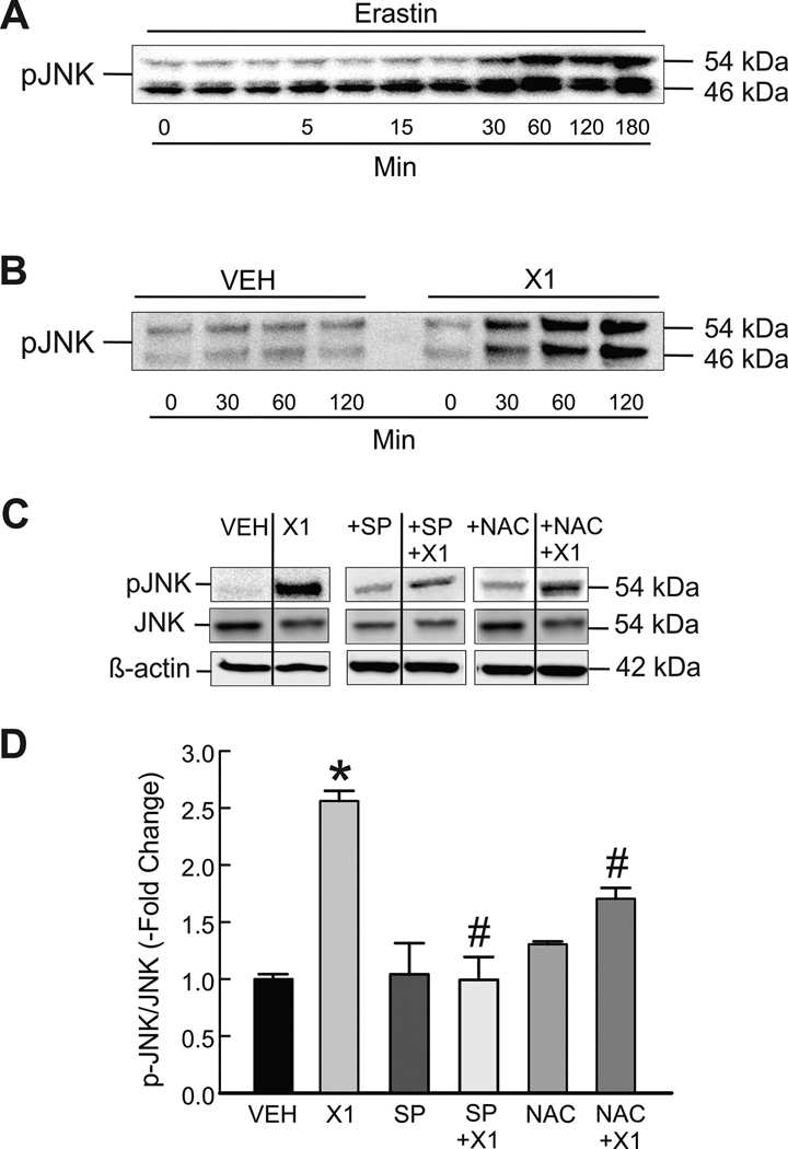 Figure 3: