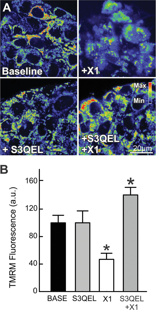 Figure 7: