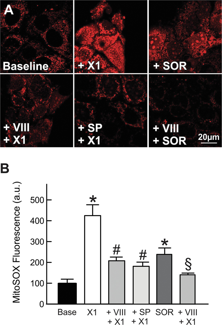 Figure 6: