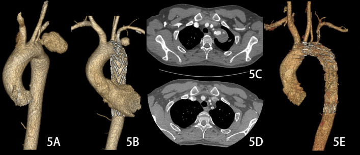 Fig. 5