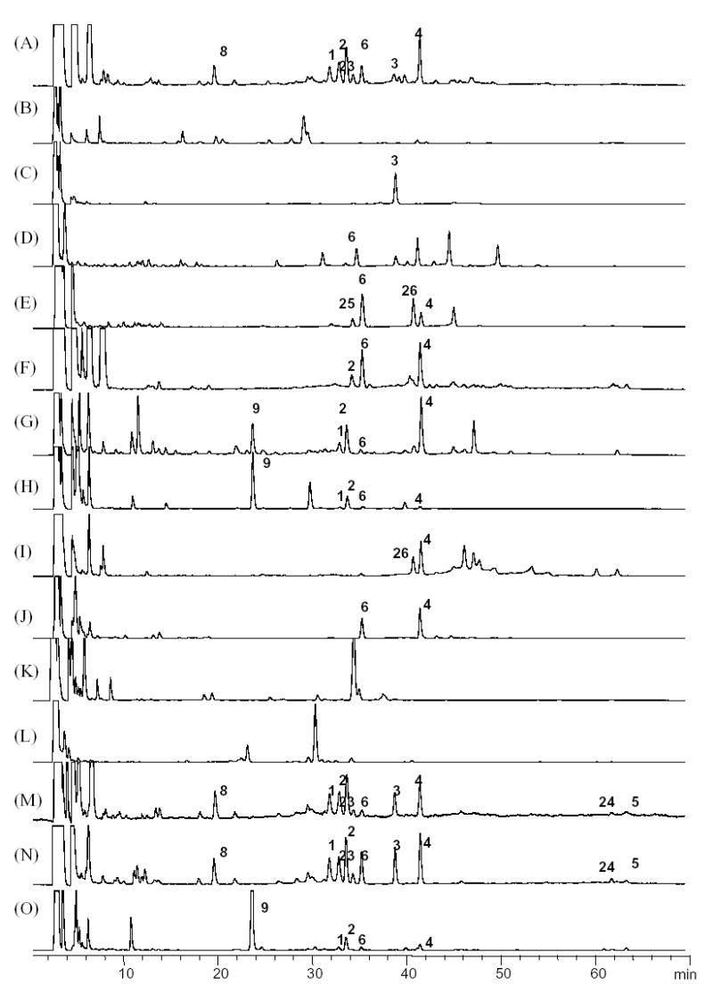 Fig. 11