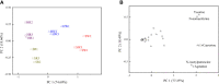 Figure 5