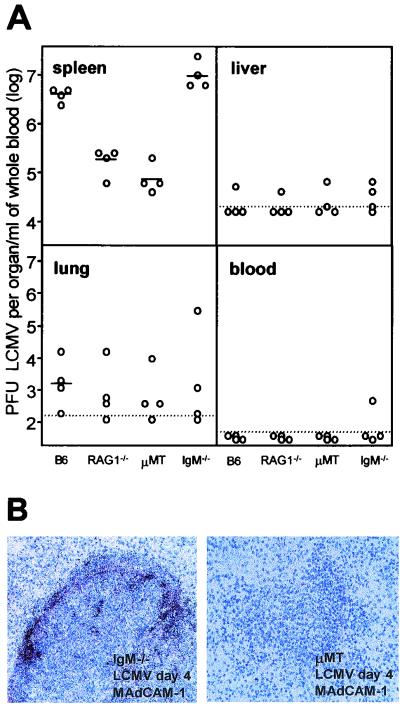 FIG. 6.