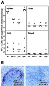 FIG. 6.