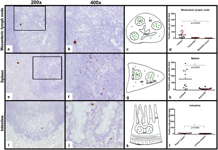 Fig 8