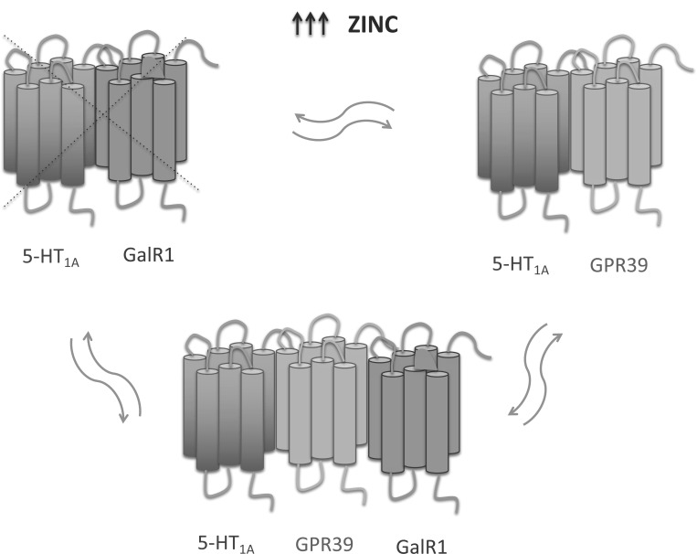 Fig. (2)