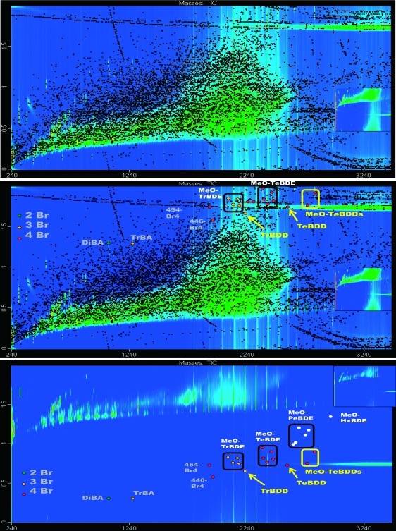 Fig. 2. GC×GC chromatograms of the methylated phenolics fraction of a marine snail (Diloma subrostrata) with peak markers, top panel. Peaks that were indicated as di-, tri-, and tetra-bromo substituted, respectively, by the corresponding Br-script, are indicated in the middle panel. Additional penta- and hexa-bromo compounds were found by manual search of suspected time regions. These are indicated with white circles in the lower panel (y-axis was shifted by 1 s and the z-scale (intensity) was adjusted for enhanced visualization).