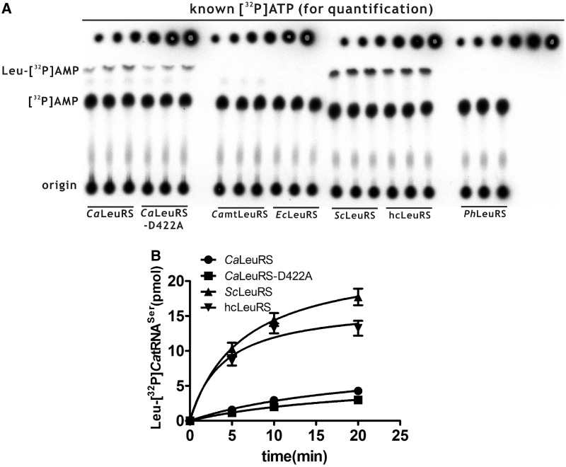 Figure 5.