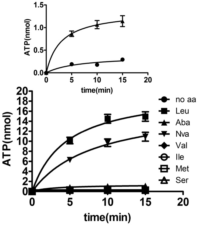 Figure 2.