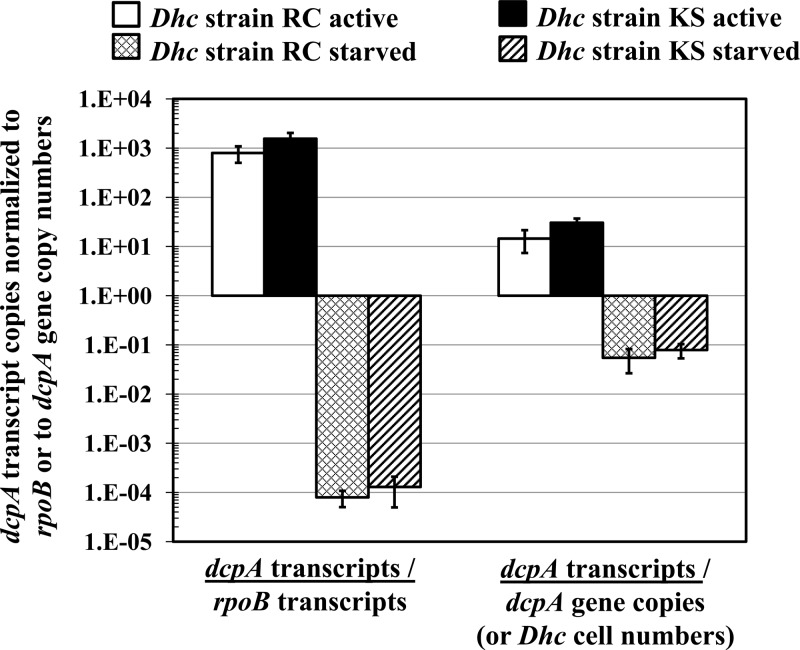 FIG 3