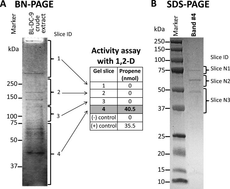 FIG 2