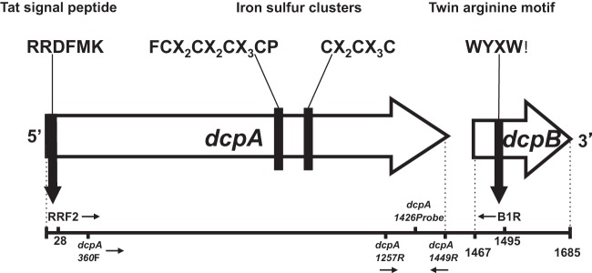 FIG 1