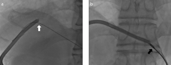 Figure 1. a, b