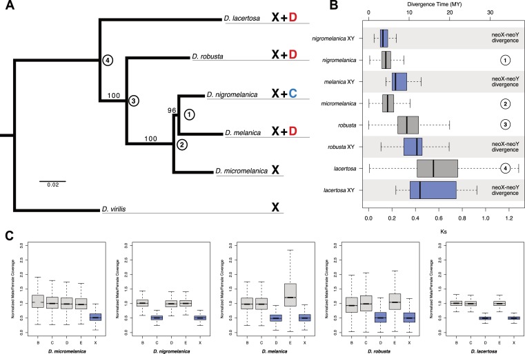 Fig 2