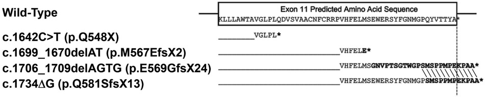 Fig 6.