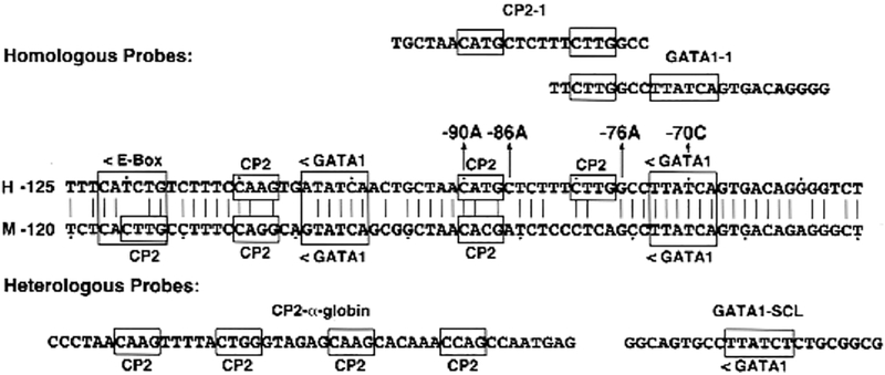 Fig 4.