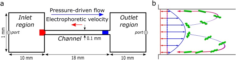 FIG. 1.