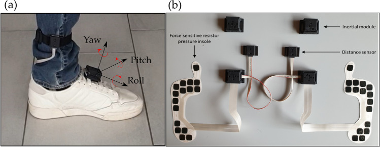 Fig. 1