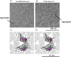 Figure 5—figure supplement 3.