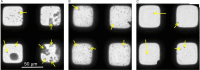 Figure 5—figure supplement 2.