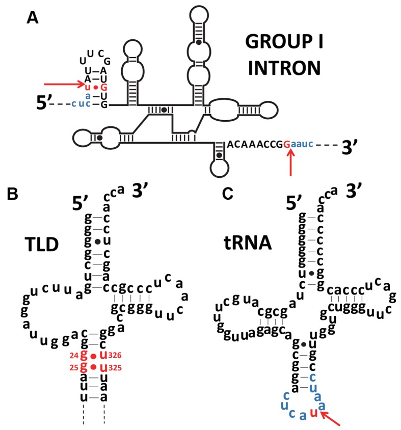 Figure 6.