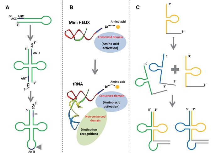 Figure 3.