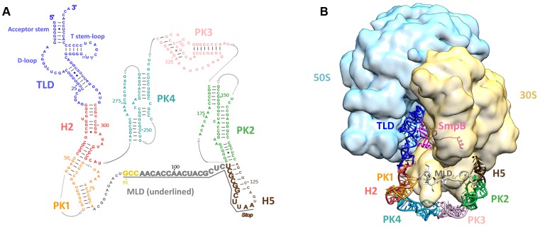 Figure 4.