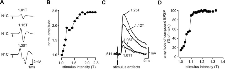 Figure 5.